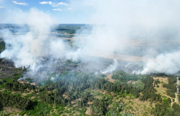 Požar zahvatio veliku površinu subotičko-horgoške peščare Požar zahvatio veliku površinu subotičko-horgoške peščare