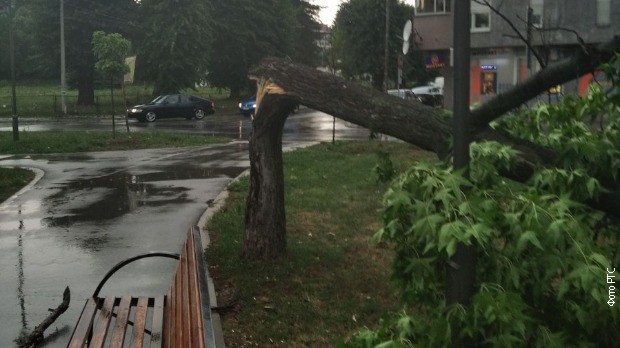 Nevreme u valjevskom kraju lomilo drveće Nevreme u valjevskom kraju lomilo drveće