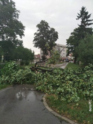 Nevreme lomilo drveće Nevreme lomilo drveće