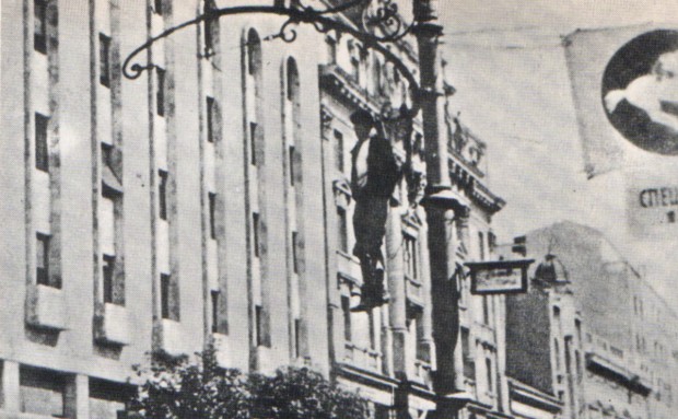 Ратко Јевић