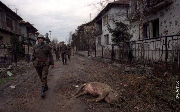 Пред Вуковаром, 17. новембра 1991. Пред Вуковаром, 17. новембра 1991.