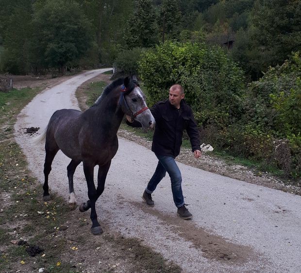 Коњи и њихови узгајивачи