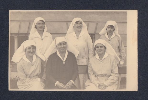 Ruža Helih sa nudiljama