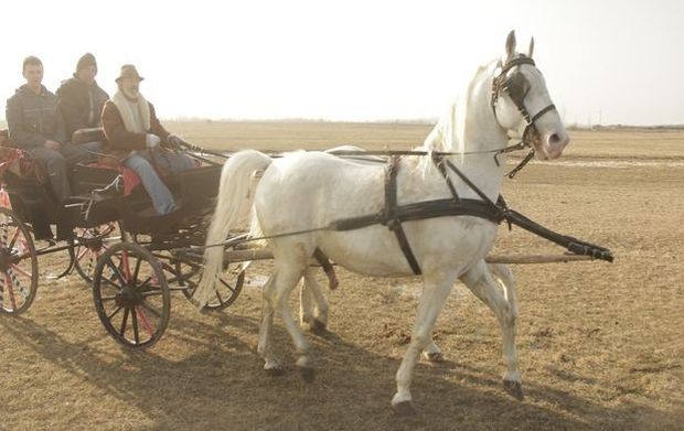 Живот у Мокрину