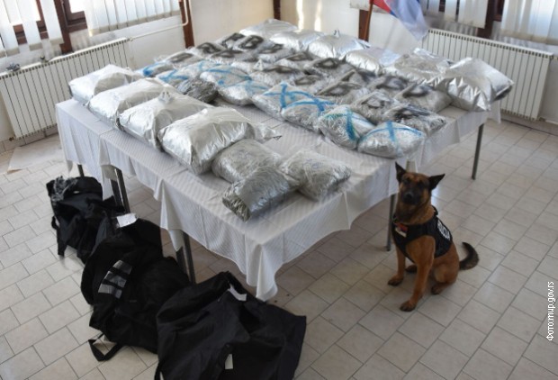U Novom Pazaru zaplenjeno preko 60 kilograma marihuane, uhapšena petorica osumnjičenih