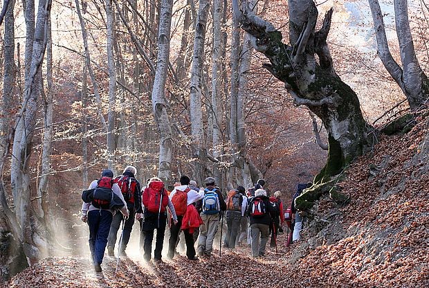 Поход на Јастребац