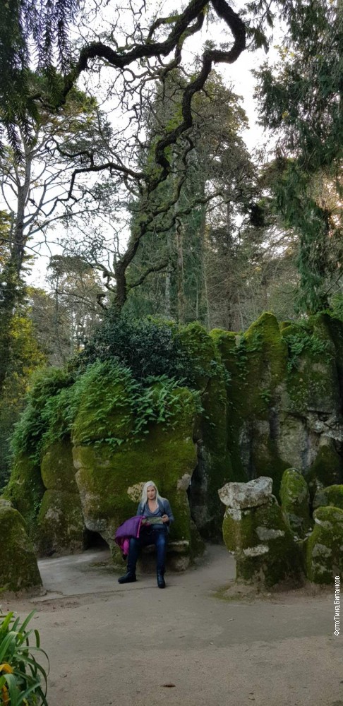 Végétation luxuriante des jardins féeriques