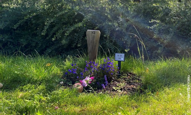 Гроб Бранислава Тешановића, Шумско гробље, Стокхолм