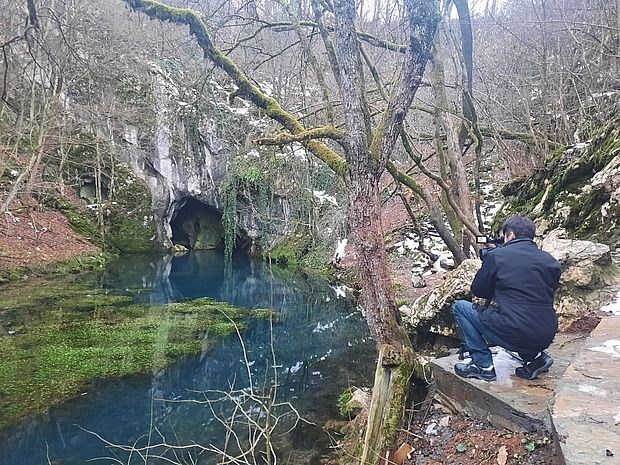 Лепота Хомоља