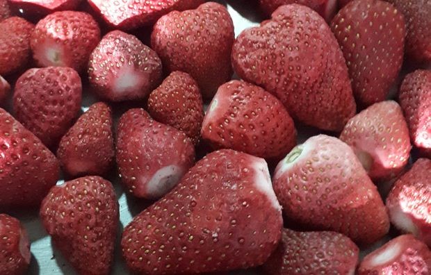 Лиофизиране јагоде које су десет пута лакше од оних у свежем стању