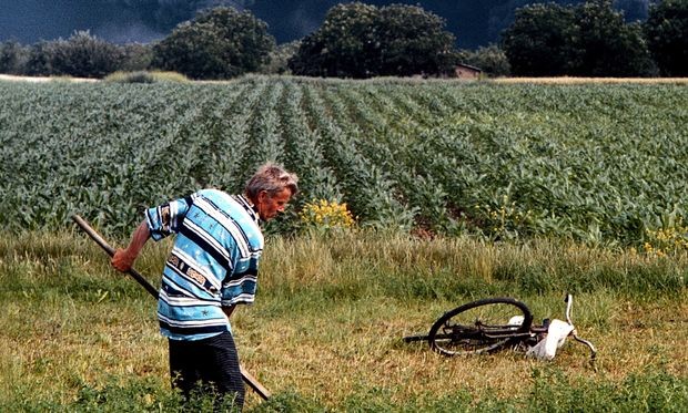 Milosrdni anđeo Kosač 1999