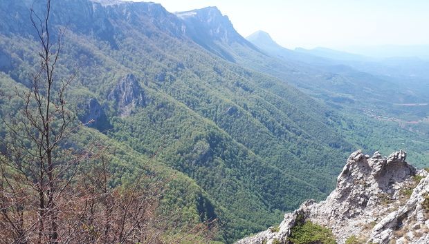 Врхови Суве планине
