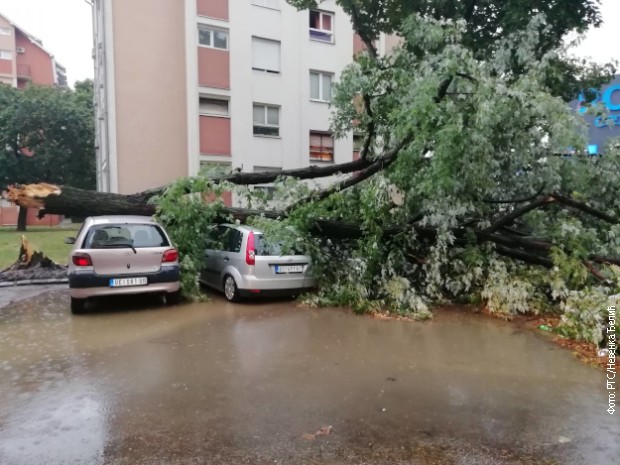 Vetar obarao drveće