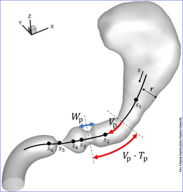 Naučnici su napravili precizan kompjuterski model želuca