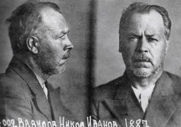 Nikolaj Vavilov u zatvoru