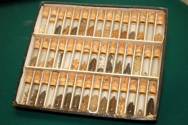 Kolekcija semenja koje je prikupio Nikolaj Vavilov