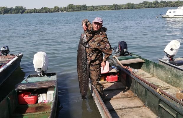 Мишко Говедаровић, професионални алас Мишко Говедаровић, професионални алас