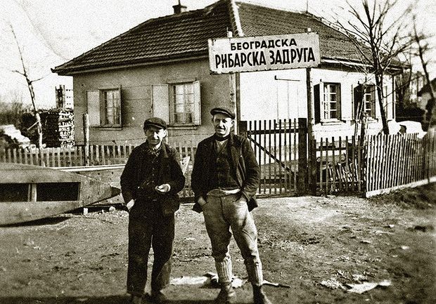 Рибарска задруга Рибарска задруга