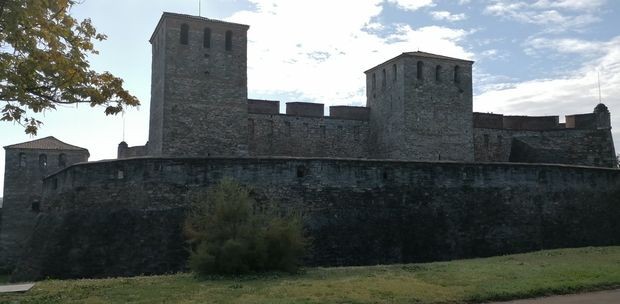 Тврђава у Видину