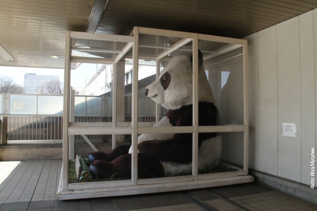 Lutka pande u železničkoj stanici u Tokiju 