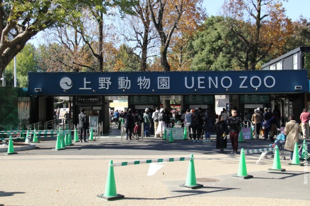 Ulaz u zoološki vrt u Uenu