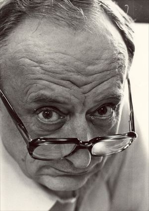 Душко Радовић