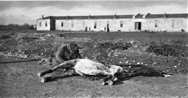 Српски војник скида месо са угинулог коња (фотографија Самсона Чернова)