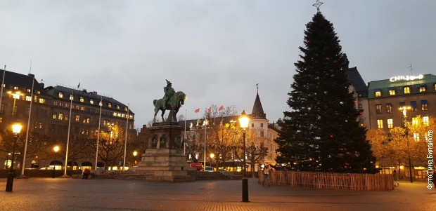 Na glavnom gradskom trgu postavljena je velika novogodišnja jelka