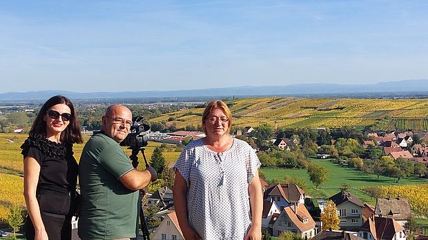 Виногради по којима је регија позната