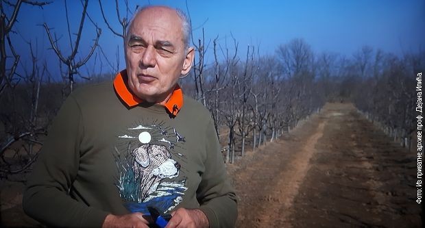 Dejan Ilić u svom voćnjaku Dejan Ilić u svom voćnjaku