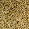 Рекордни пад индекса Продуктне берзе