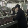 Гајећи воће купио хладњачу