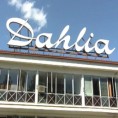 Стечај "Далије"
