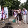 Засађено стабло  платана у част Олимпијских игара