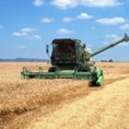 Киша увећава род