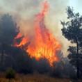 Пожари у Црној Гори