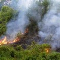 Изгорео део брда према Могрену