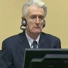 Караџић се у петак изјашњава о кривици