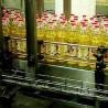 Пољопривредници незадовољни ценом сунцокрета
