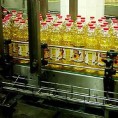 Пољопривредници незадовољни ценом сунцокрета