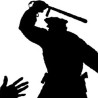 Полицијска бруталност, особеност региона?