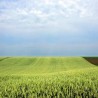 Војводина привлачи страни капитал