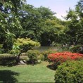 Адреса становања - парк без броја