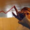 Суфицит са ЦЕФТА већи за 40 одсто