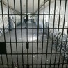 Затвор због уских панталона