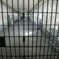 Затвор због уских панталона