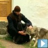 Монах и вук