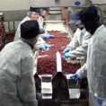 Извоз српске хране већи од увоза         
