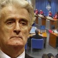САД разматрају Караџићеве захтеве