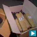 Заплењено више од 60 килограма "сканка"